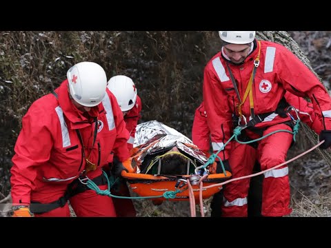 Spencer Korbtrage Shell, einteilig